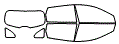 Tint Kit pattern for the 2015 Nissan Rogue Select