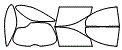 Tint Kit pattern for the 1996 Mercury Sable