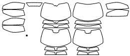 Tint Kit pattern for the 2027 Chevrolet Corvette