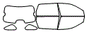 Tint Kit pattern for the 2007 Chevrolet Malibu Maxx
