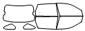 Tint Kit pattern for the 2007 Chevrolet Malibu Maxx