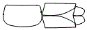 Tint Kit pattern for the 2007 Chevrolet Monte Carlo