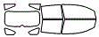 Tint Kit pattern for the 2012 Dodge Caliber