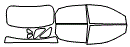 Tint Kit pattern for the 2015 Lexus RX 350
