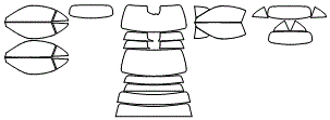 Tint Kit pattern for the 2027 Mercedes Benz Maybach SL 680