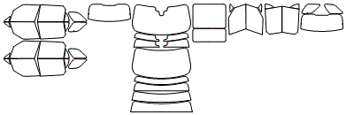 Tint Kit pattern for the 2027 Land Rover Range Rover Sport