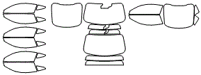 Tint Kit pattern for the 2026 Ford Mustang