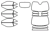 Tint Kit pattern for the 2027 Ferrari Amalfi Spider