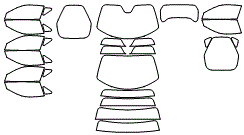 Tint Kit pattern for the 2026 Ferrari 12Cilindri