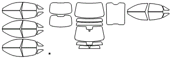 Tint Kit pattern for the 2026 Audi S5