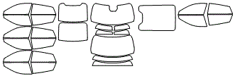 Tint Kit pattern for the 2027 Dodge Charger