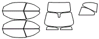 Tint Kit pattern for the 2020 BMW M4