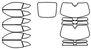 Tint Kit pattern for the 2025 Porsche 718
