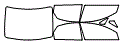 Tint kit pattern for the 2004 Volvo S40
