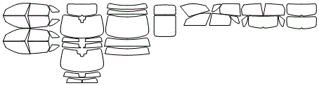 Tint Kit pattern for the 2026 Jaguar F-Pace