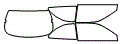 Tint Kit pattern for the 1997 Hyundai Accent