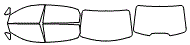 Tint Kit pattern for the 2016 Hyundai Equus