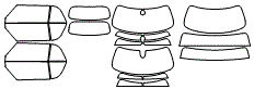 Tint Kit pattern for the 2024 MINI Convertible