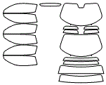 Tint Kit pattern for the 2025 Maserati MC20