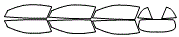 Tint Kit pattern for the 2016 Aston Martin DB9