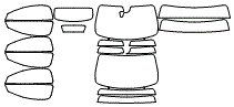 Tint Kit pattern for the 2021 Aston Martin Vantage